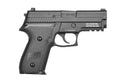 Sig Sauer - Pro Force P229 GBB Pistol