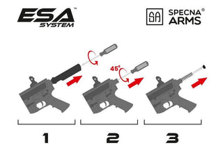 esa-1.jpg